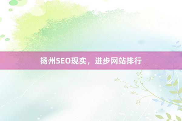 扬州SEO现实，进步网站排行